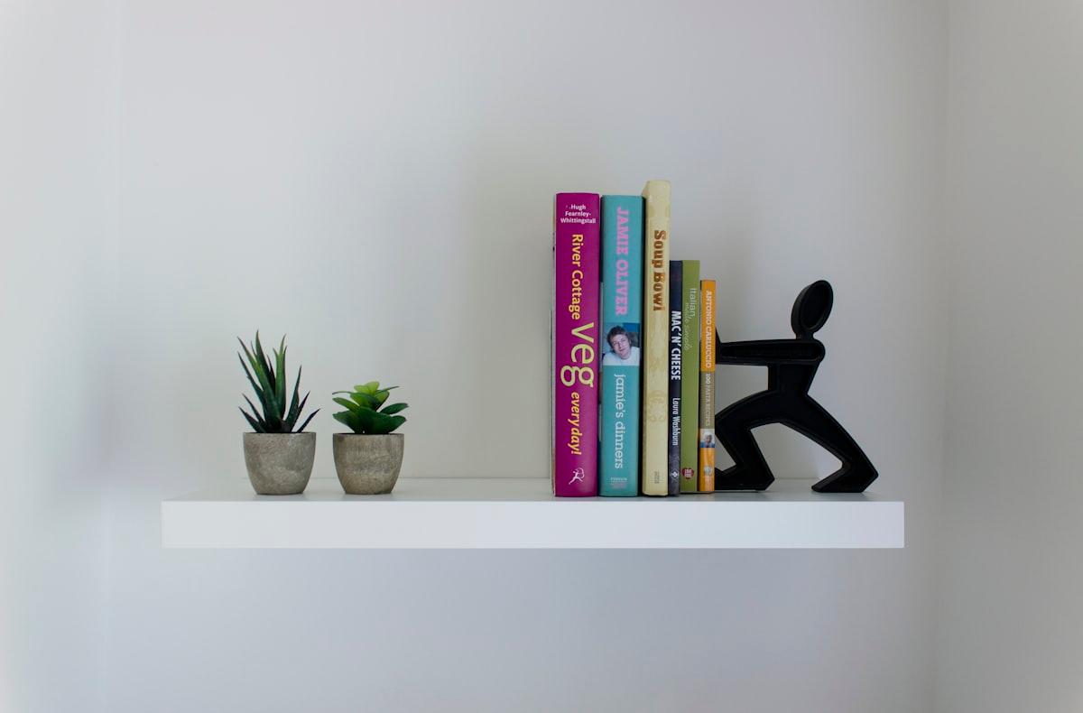 White floating wall shelf styled with books and small plants